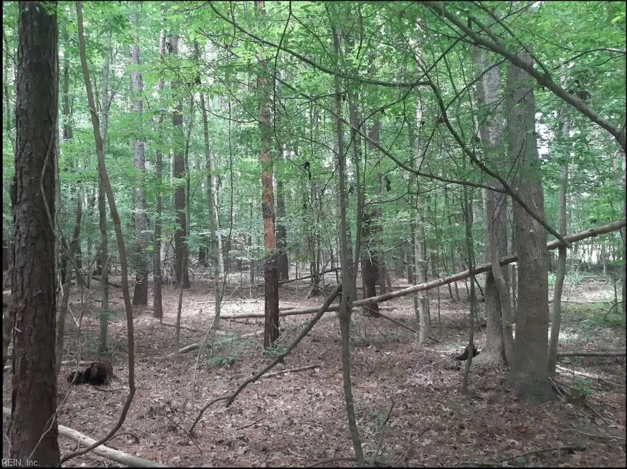 6608 Blackwater Road, Virginia Beach, VA 23457 - #2