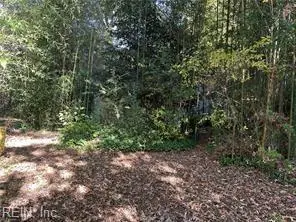 4558 Shoshone Court, Norfolk, VA 23513 - #1