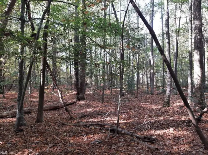 6616 Blackwater Road, Virginia Beach, VA 23457 - #2