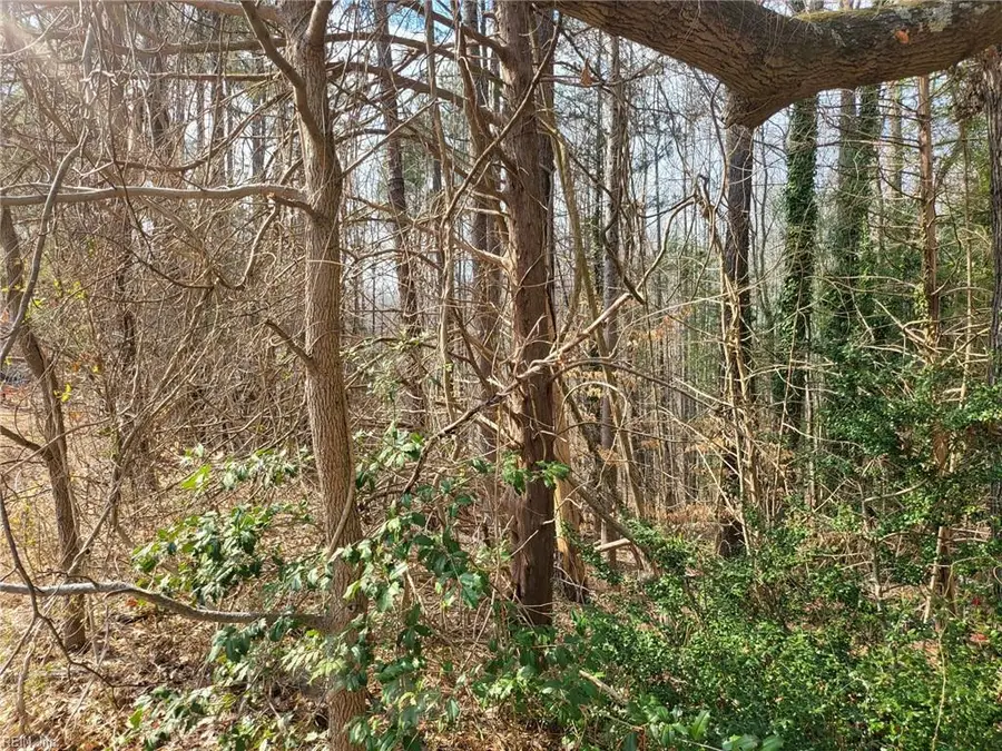 4712 Monaco Drive, Sandston, VA 23150 - #2