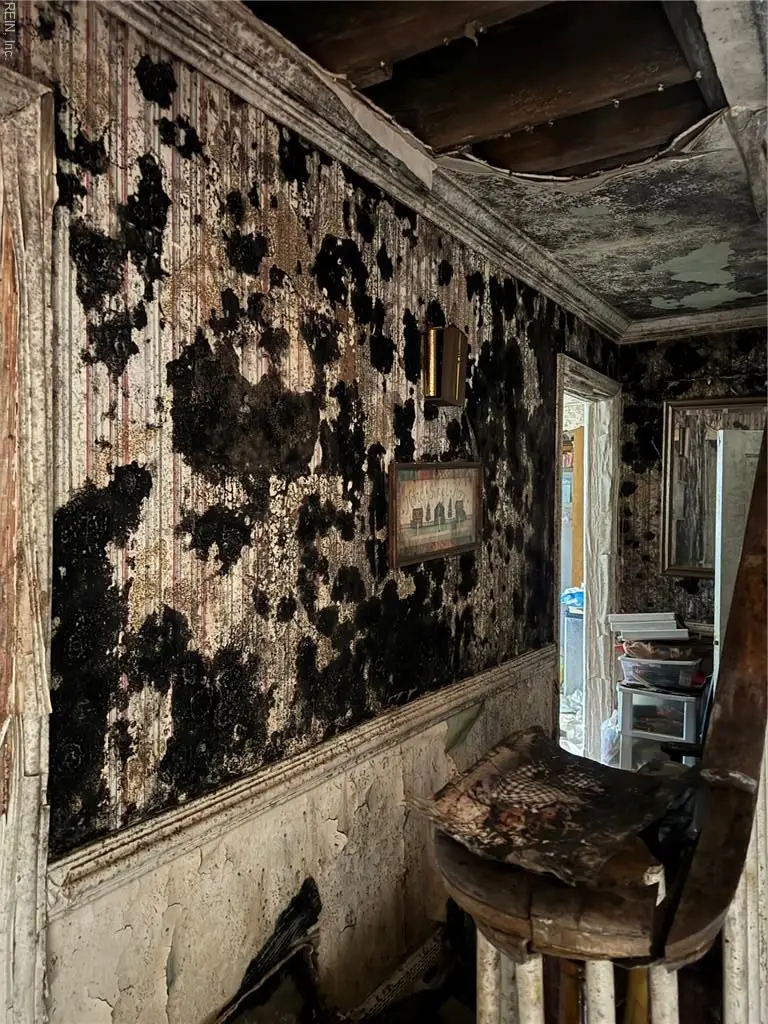 416 Sinclair Street, Norfolk, VA 23505 - #3