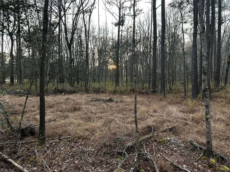 1.58AC General Thomas Highway, Newsoms, VA 23874 - #2