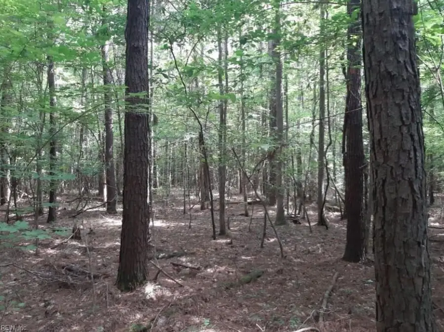 6636 Blackwater Road, Virginia Beach, VA 23457 - #2