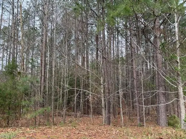 11794 Red Cross Bill Way, Providence Forge, VA 23140 - #2