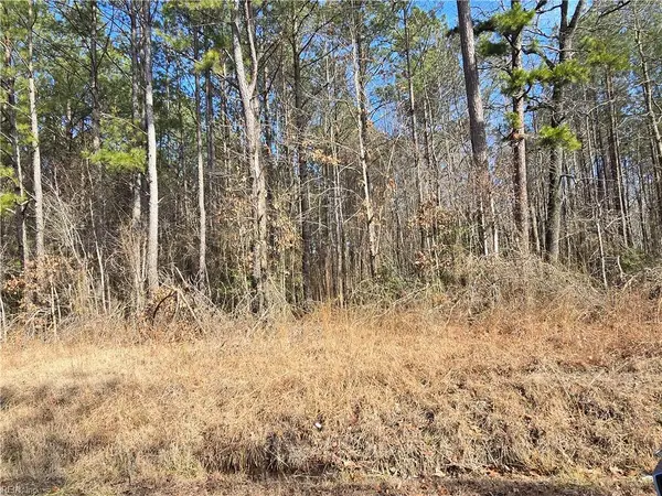 1 AC Warrique Road, Ivor, VA 23866