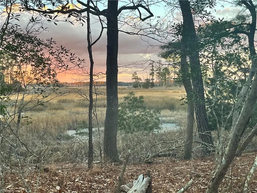 9.5 AC Bay Farm Road, Carrollton, VA 23314 - #1