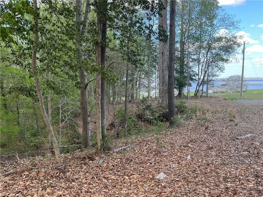 Lot 1 Cobham Wharf Road, Surry, VA 23883 - #3