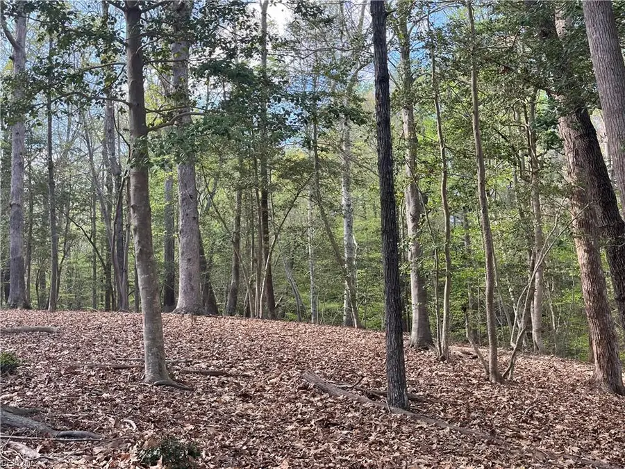 Lot 2 Eagle Lane, Surry, VA 23883 - #3