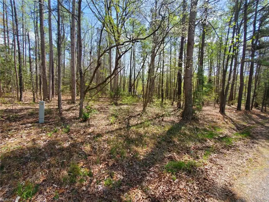 5.1+AC Monguy Road, Charles City, VA 23030 - #2