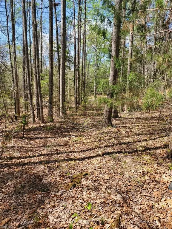 5.1+AC Monguy Road, Charles City, VA 23030 - #3