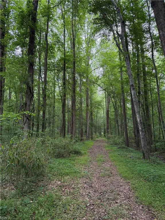 Lot 37 Trinkle Street, Chesapeake, VA 23322