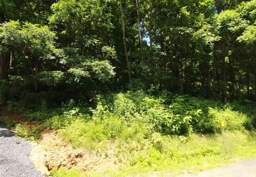270 Timber Camp Lot 46 Drive, Roseland, VA 22967 - #2