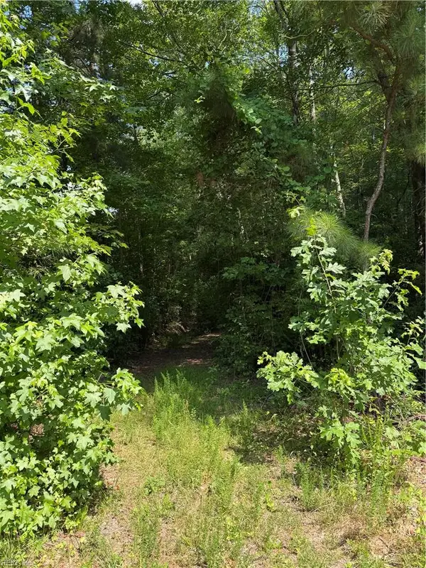 1737 Binford Street, Chesapeake, VA 23322
