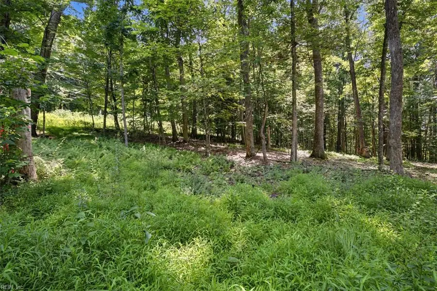 Lot 50 Donald Ross Trail, Hot Springs, VA 24445 - #2