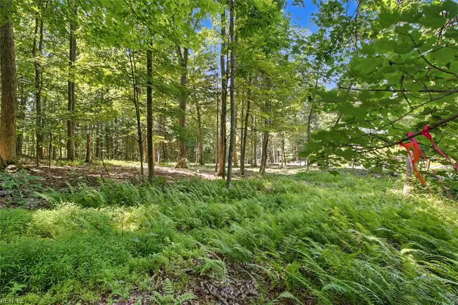 Lot 50 Donald Ross Trail, Hot Springs, VA 24445 - #3