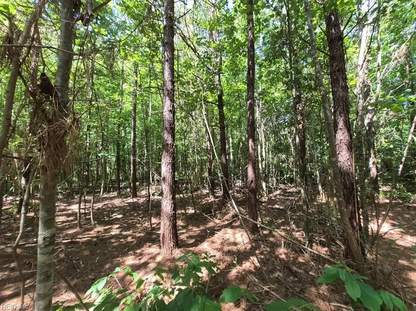 6576 Blackwater Road, Virginia Beach, VA 23457 - #3