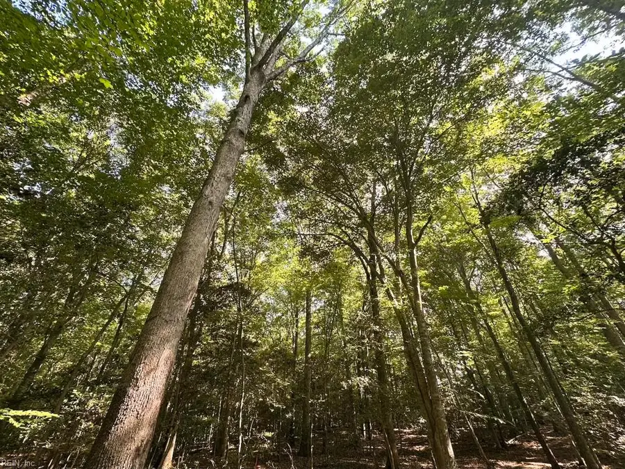 27 AC Hills Drive, Dewitt, VA 23840 - #3