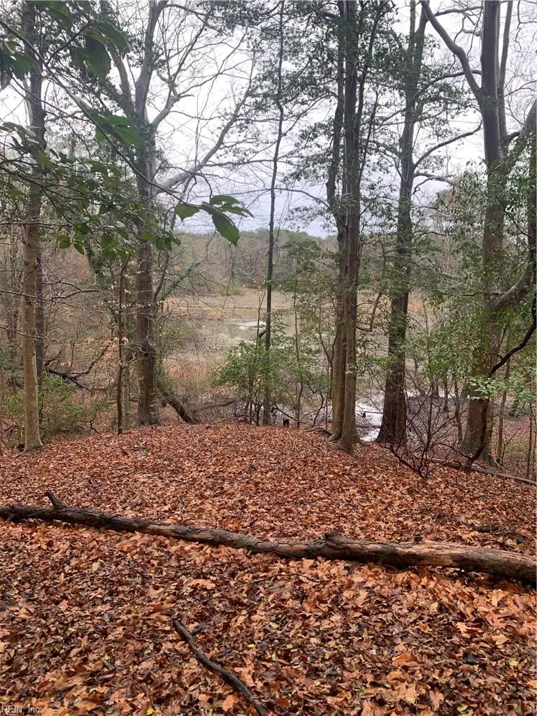 Lot 7 Mt Holly Creek Lane, Smithfield, VA 23430 - #2