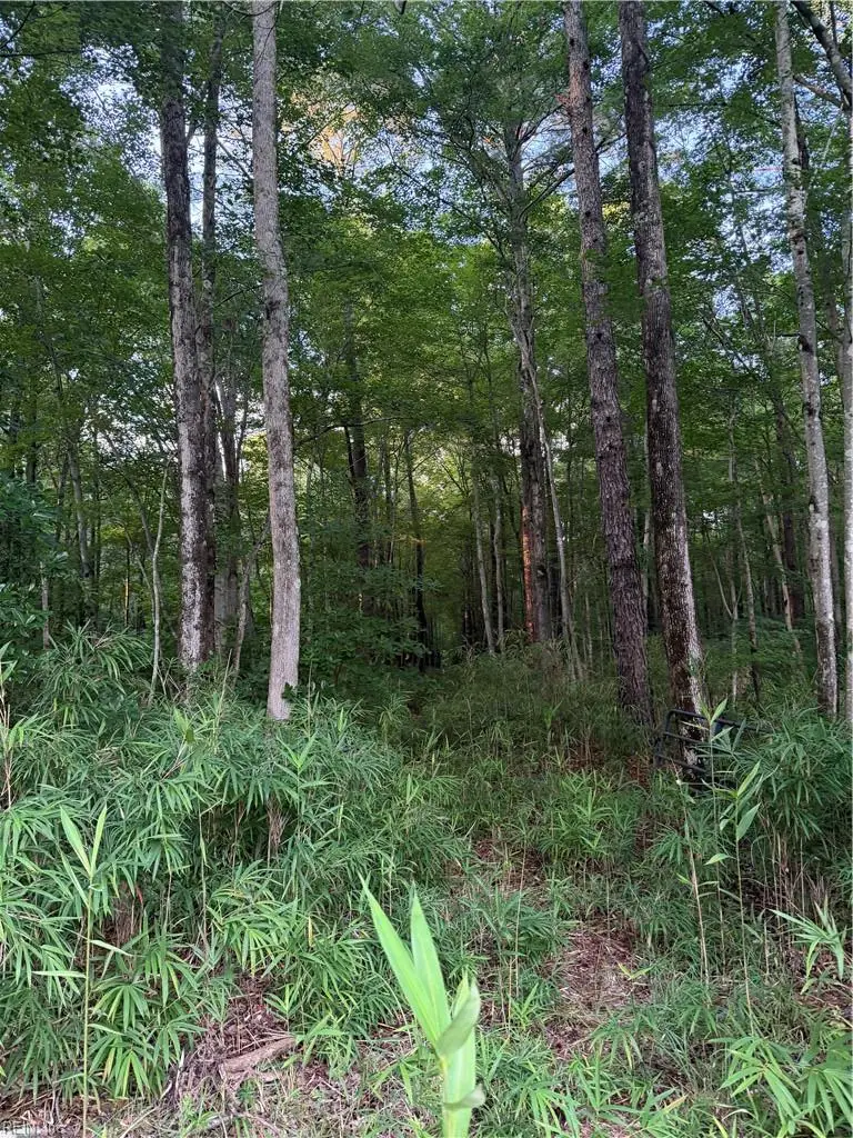 Lot 5 Tuck Street, Chesapeake, VA 23322 - #1