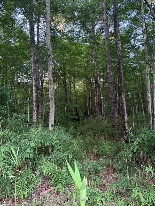 Lot 5 Tuck Street, Chesapeake, VA 23322