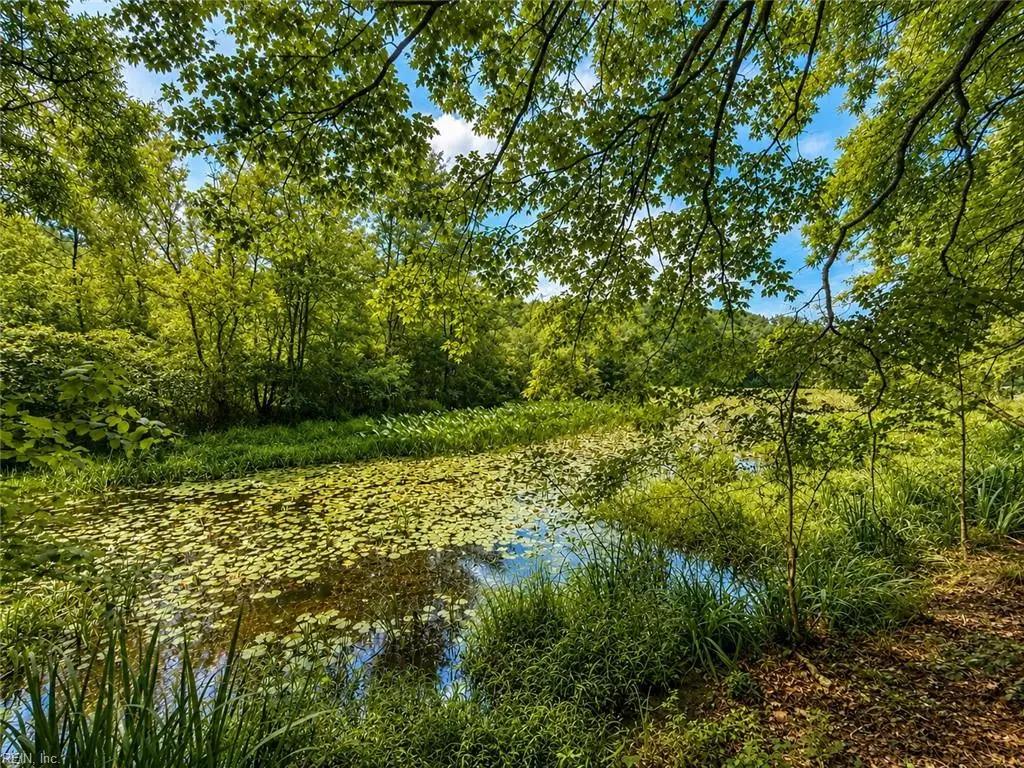 LOT 6 Birdsong Road, Ebony, VA 23845 - #1