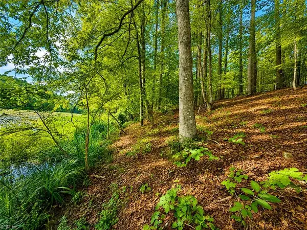 LOT 5 Birdsong Road, Ebony, VA 23845