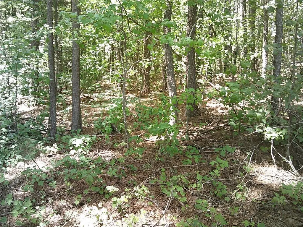 8 acs Seacock Chapel Road, Zuni, VA 23898 - #1