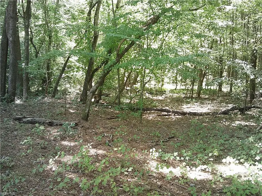 8 acs Seacock Chapel Road, Zuni, VA 23898 - #3