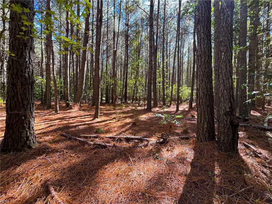 15 Acres Cypress Chapel Road, Suffolk, VA 23434 - #3