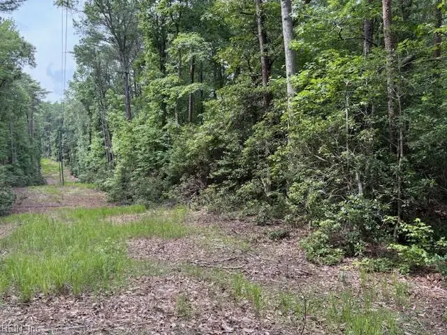 Lot 23 Rivers Knoll, Heathsville, VA 22473 - #2