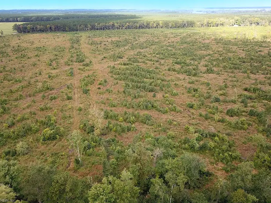 193 Acres Saxis Road, Saxis, VA 23427 - #3