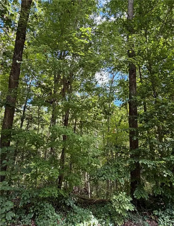 6.72Ac Hudson Mill Drive Drive, Lawrenceville, VA 23868 - #2