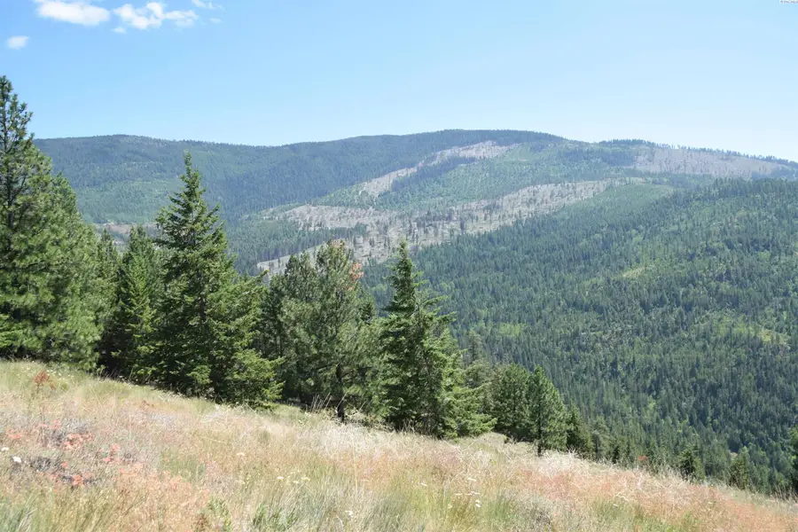 1555 Comstock Mine Rd, Colville, WA 99114 - #2