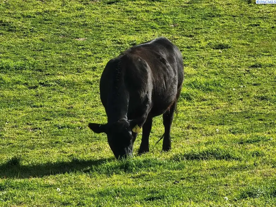 29404 S 816 Pr Se, Kennewick, WA 99338 - Image #3