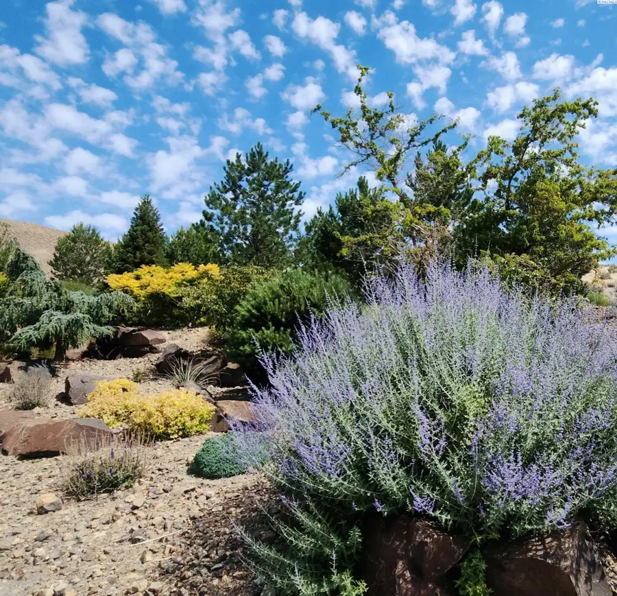 2233 S Belfair St (lot 39 Ph 8), Kennewick, WA 99338 - Image #2