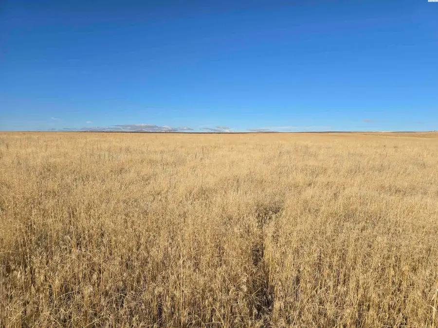 NKA N Crosby Rd (lot 3), Prosser, WA 99350 - Image #3