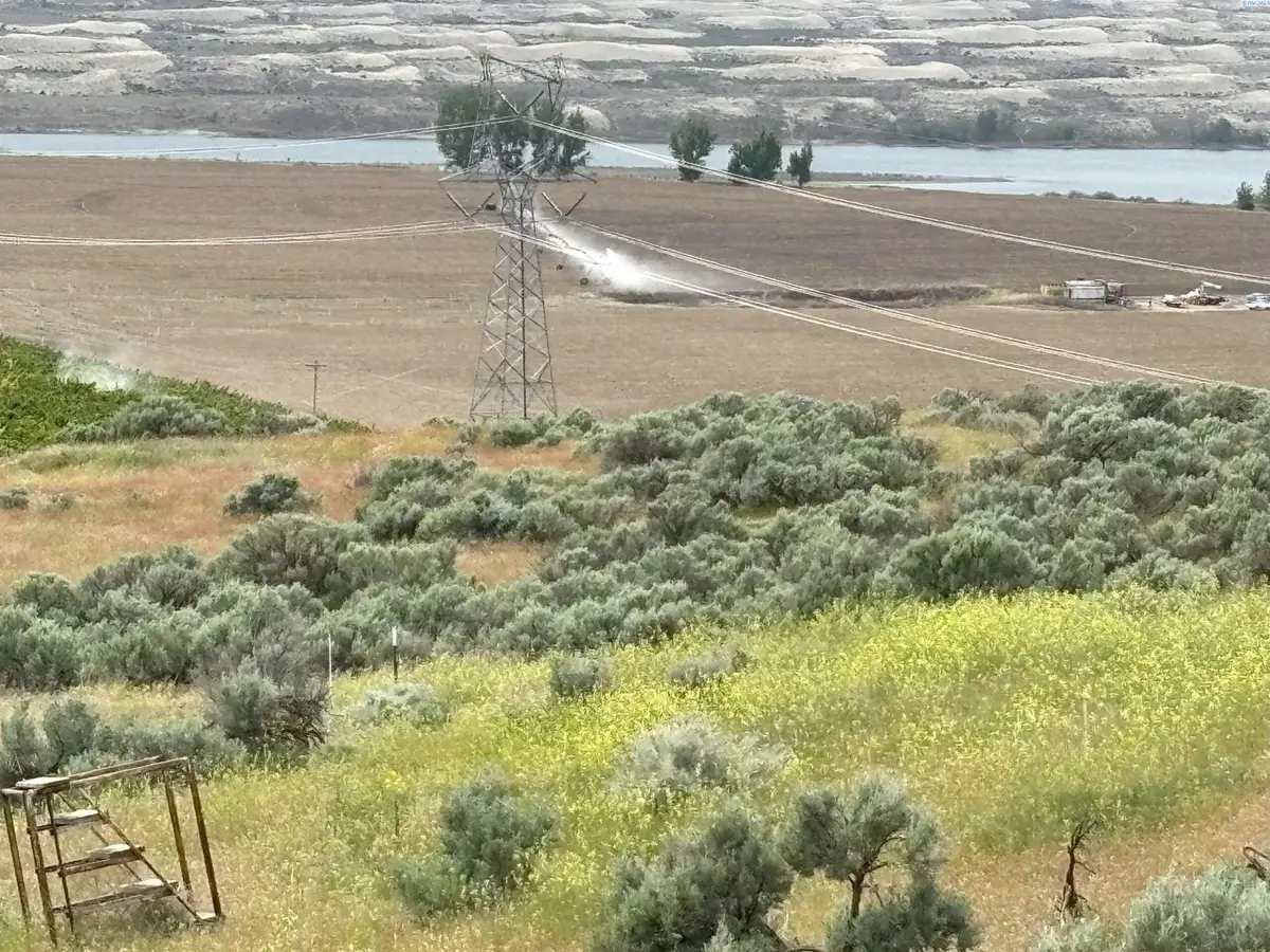 NKA Ringold Road, Eltopia, WA 99330-0000 - Image #1