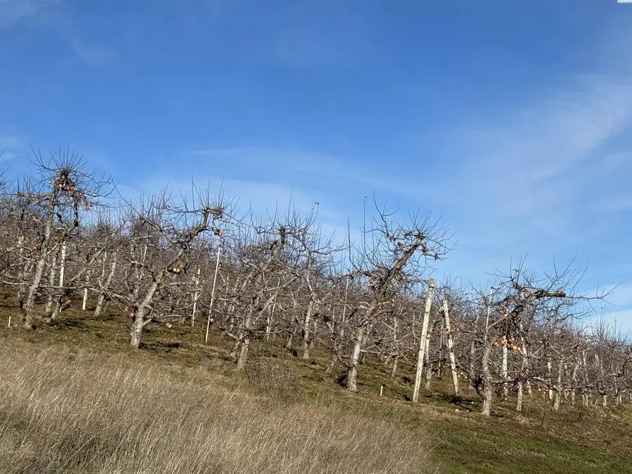 NKA Sagehill Road, Mesa, WA 99343-0000 - Image #2