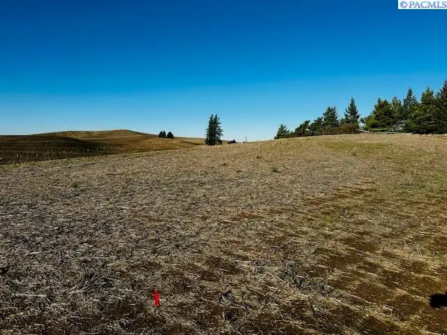 TBD 10th St. Land Only, Garfield, WA 99130 - #2