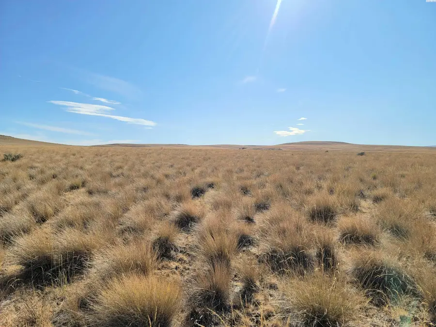 17 Turpin Rd (lot 7), Mabton, WA 98935 - #3