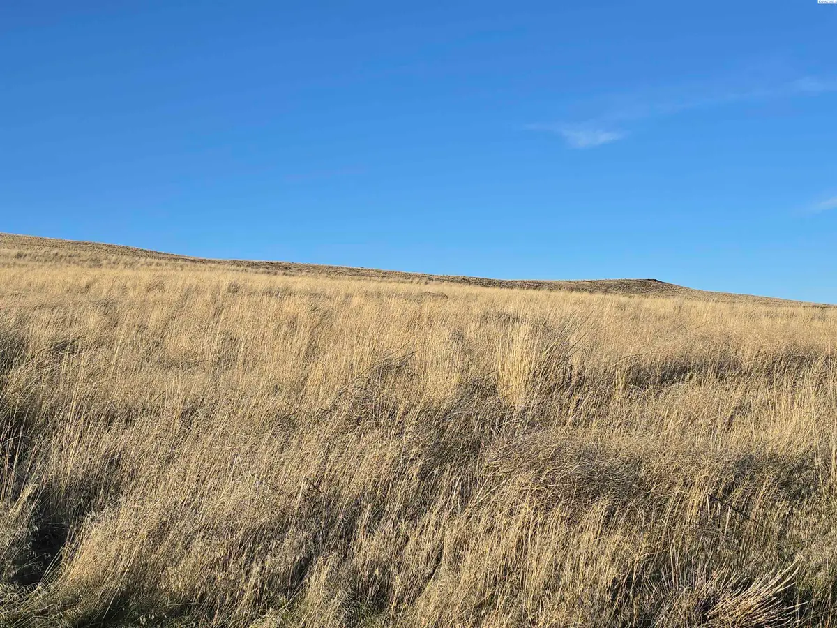 15286 Mabton Bickleton Rd, Mabton, WA 98935 - #1