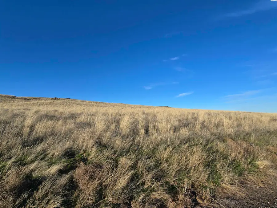 15286 Mabton Bickleton Rd, Mabton, WA 98935 - #2