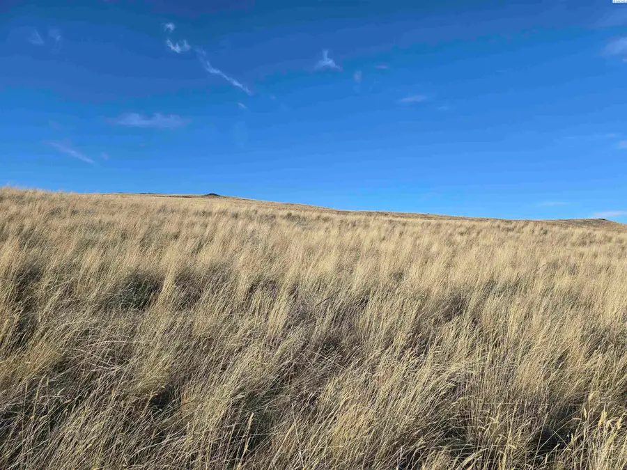 15287 Mabton Bickleton Rd, Mabton, WA 98935 - #2