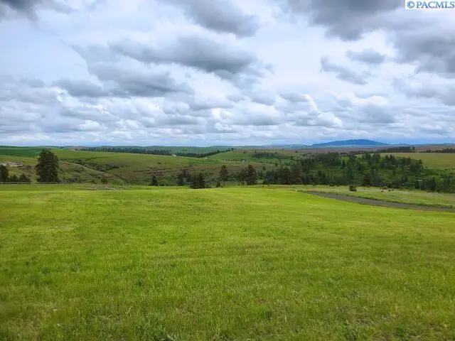 Lot 9 Red Tail Ridge, Colfax, WA 99111 - #1