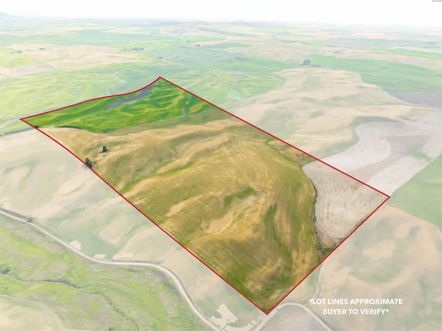 TBD Bongarts Rd, Oakesdale, WA  - #2