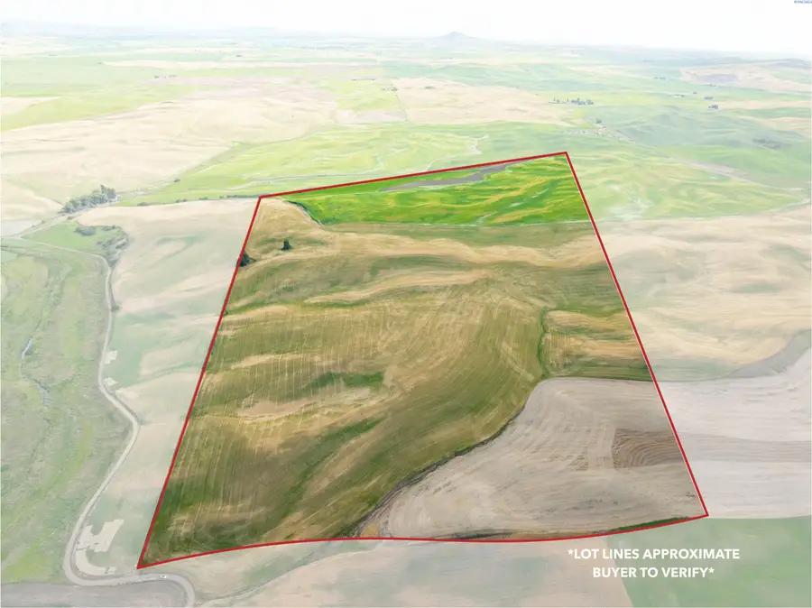 TBD Bongarts Rd, Oakesdale, WA  - #3