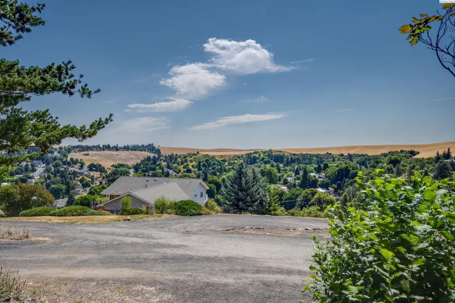 718 S Scenicview Dr, Colfax, WA 99111 - #2