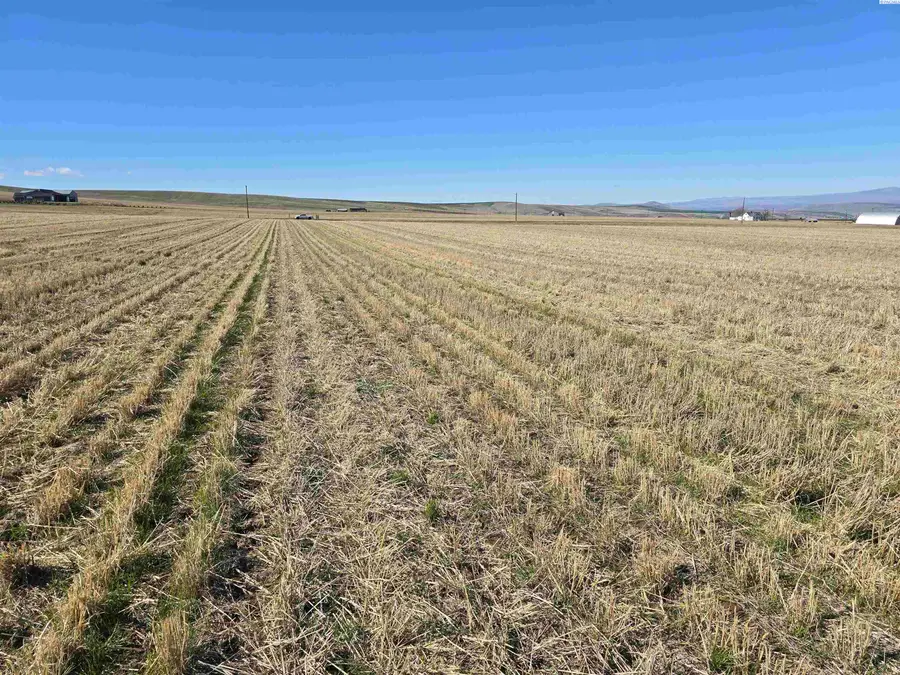 50411 C Williams Rd, Kennewick, WA 99338 - #3