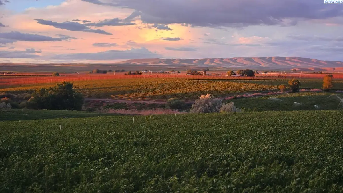 125498 W Mccreadie Rd., Prosser, WA 99350 - #1