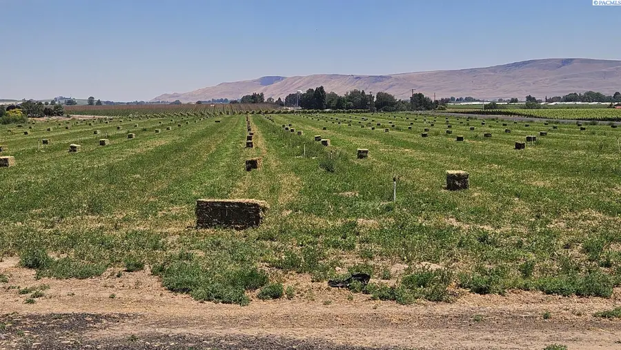 125498 W Mccreadie Rd., Prosser, WA 99350 - #2
